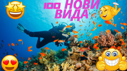 🌊🔍🆕 100 НОВИ подводни открития! 🆕🔍🌊