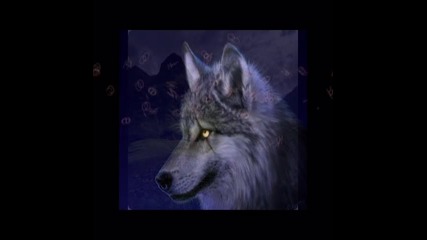 Тръпка - трейлар 
