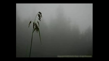 Satyricon - In The Mist By The Hills