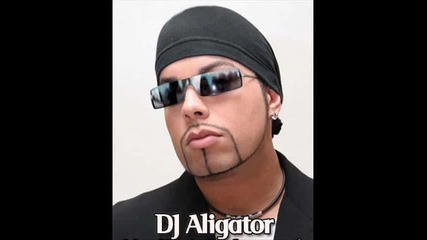 Dj Aligator feat. Dj Zoro - Temple Of lndia (remix)
