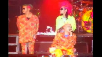 Hide - Hi - Ho