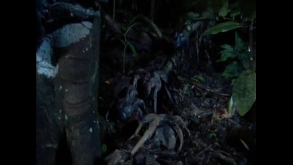 Bbc South Pacific - 1 of 6 - Ocean of islands 2 част