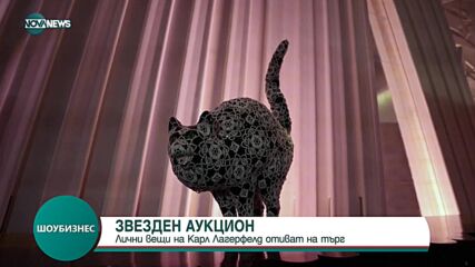 Лични вещи на Карл Лагерфелд отиват на търг
