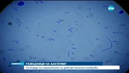 Самолетите – развъдници на микроби