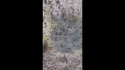 Vid_20230907_192247.mp4
