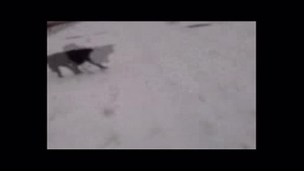 Jeremy in the snow (4) 