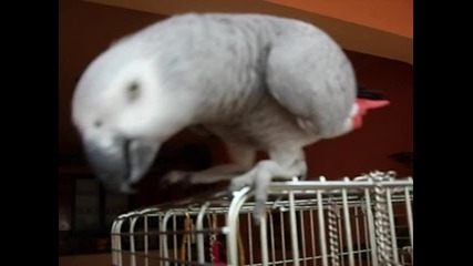 Djako Video3