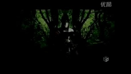 D - 7th Rose [lyrics]