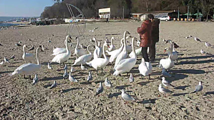 Varna - Black Sea Coast today 014