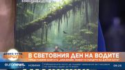 От Рим до сърцето на Амазония: Историята на една авантюристка, която променя живота си в джунглата