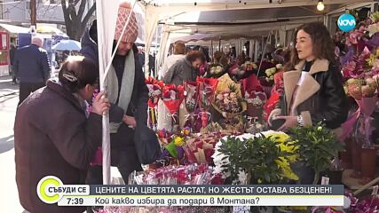 Рози, лалета, гербери – кои цветя са най-търсени за Деня на жената