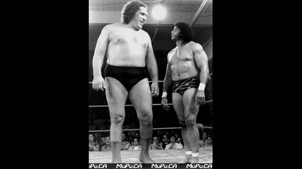 Andre The Giant Photos
