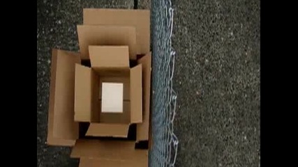 Box