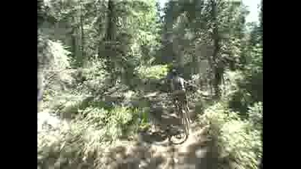 Downhill Downieville2 Prodigy - smack my bitch up
