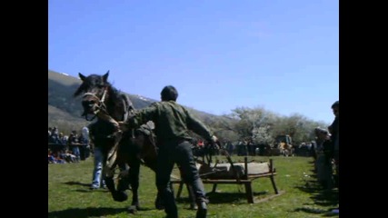 Дико в Антон 2011