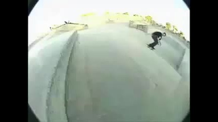 Circa Skateboarders