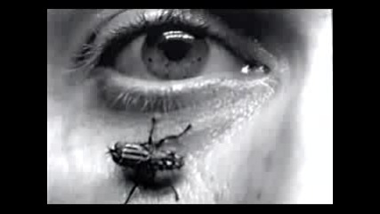 Nine Inch Nails - Help Me I Am In Hell