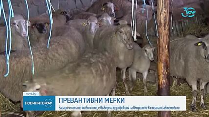 От днес: Всички коли, минаващи през сухопътните ни граници, подлежат на дезинфекция