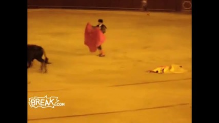 Bullfighter Destroyed in Spain 