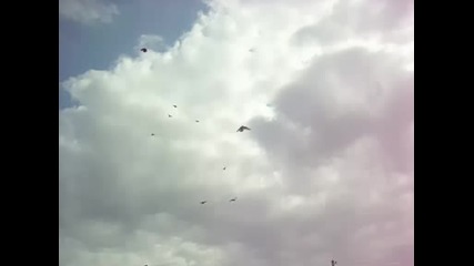 vartene na galab