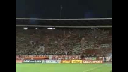 Crvena Zvezda - Glasgow