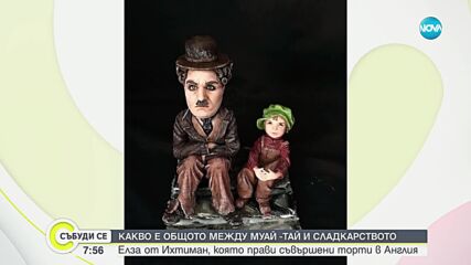Елза - българската сладкарка, която направи Тейлър Суифт от захар