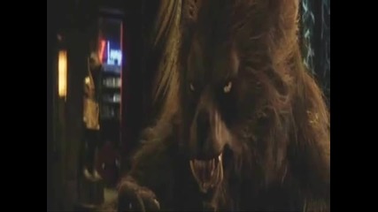 Werewolf (1)