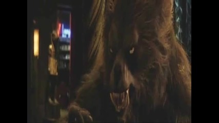 Werewolf (1)