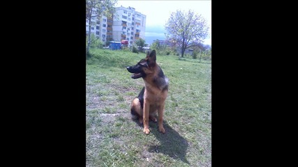 moeto kuche