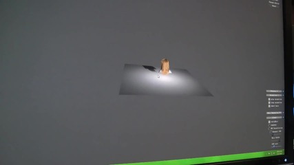 nvidia Hari Simulation on Gdc 2010 