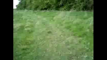 quad atv bashan