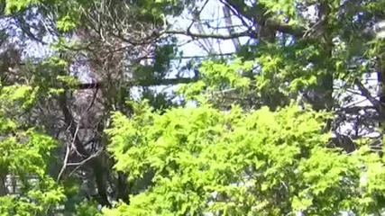 Много забавно клипче за Великден 