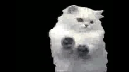 Animations