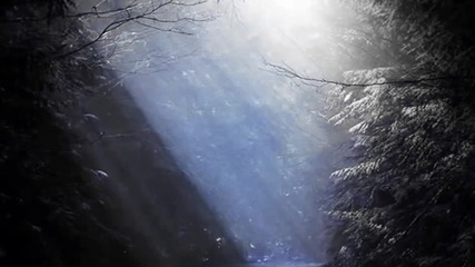 Insania - Angels in the Sky