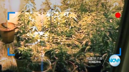 В "Комбина" на 30 октомври очавайте