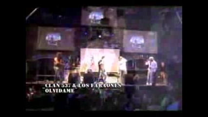 Olvidame - Los Faraones