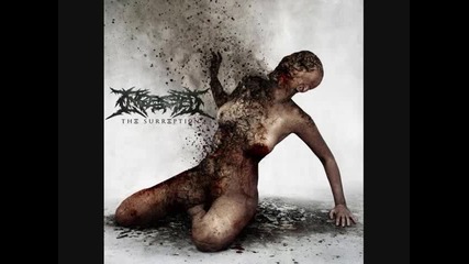 Ingested Ft. Alex Erian - The Consequence