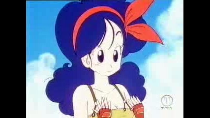 Dragon Ball 015