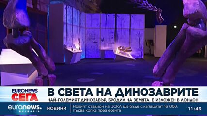 Най-големият динозавър, бродил на Земята, е изложен в Лондон