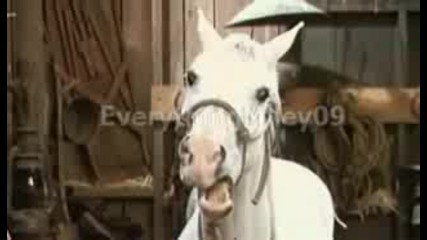 Hannah Montana - Should I Neigh Or Should I Go (sneak Peek #2) 