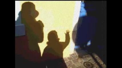 Gal Costa - Sua Estupidez