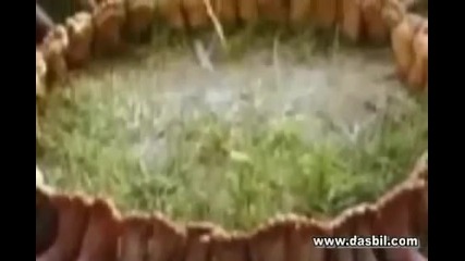 Bugun pazar, ve ben seni cok ozledim