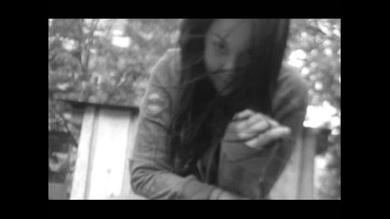 secede - friday fall 