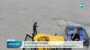 Българин паркира на плаж в Полша, глобиха го