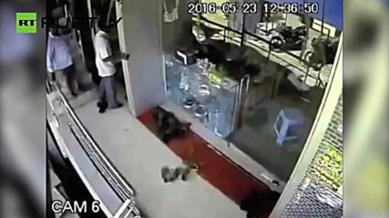 Monkey Robs Jewellery Store in Unbelievable Heist