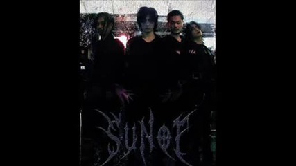 Sunoi - (a Bird Unable to Fly)