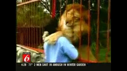 Голяма прегръдка на човек и лъв
