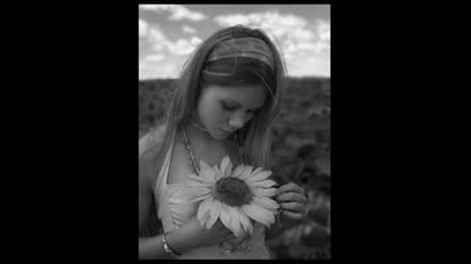 Narichashe Q Toi lalence Moe 