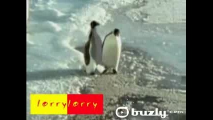 Пингвин Спъва Друг Пингвин