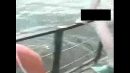 funy videos